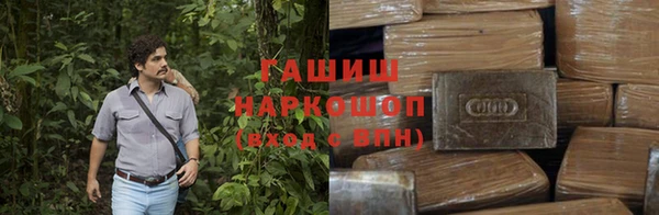 a pvp Алзамай